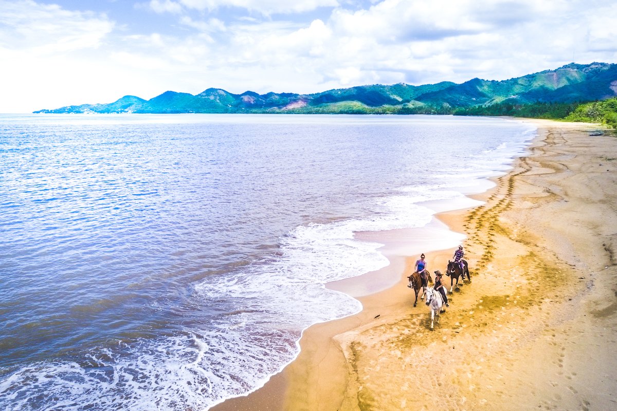 A group enjoys a peaceful horseback ride on the beach.