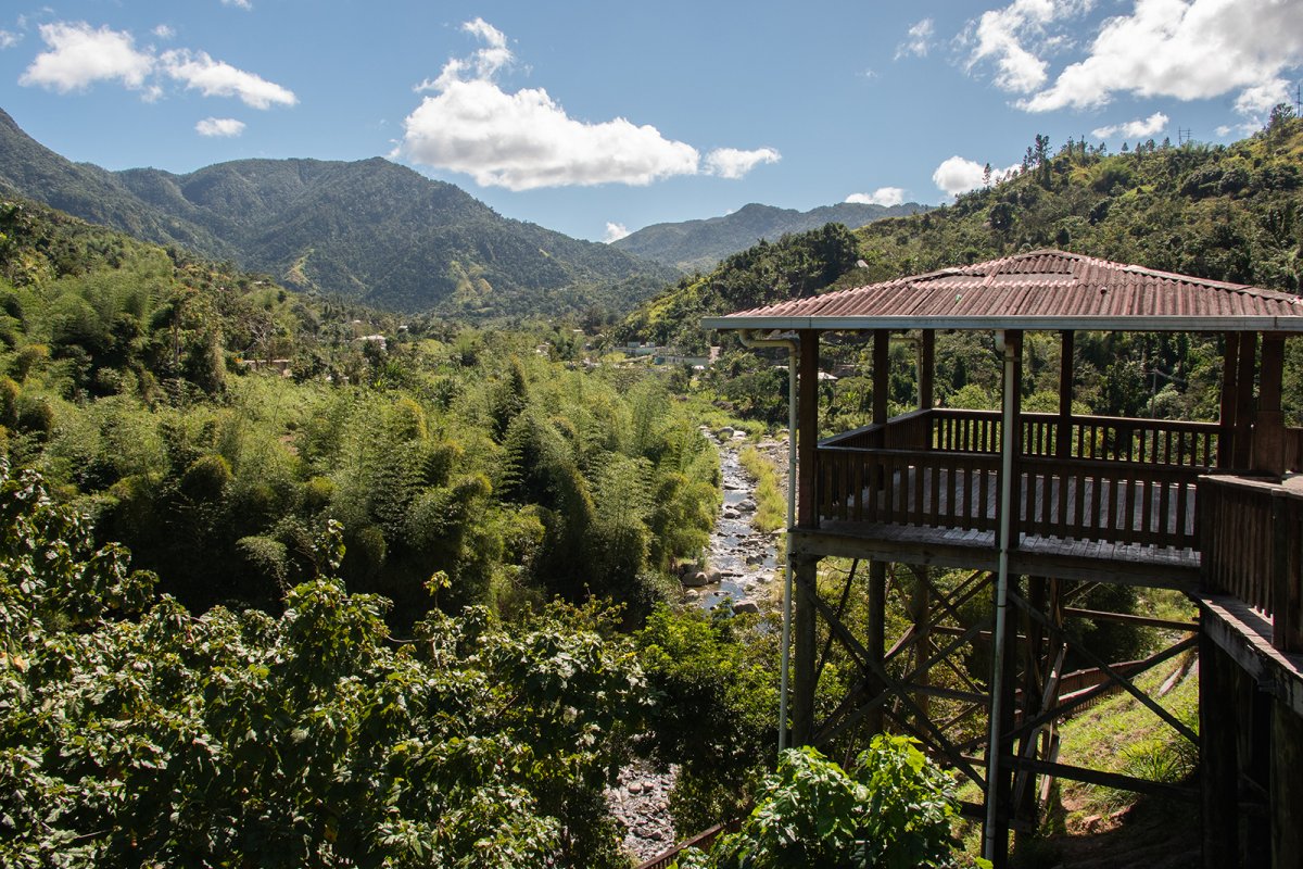 Lush scenery of Puerto Rico