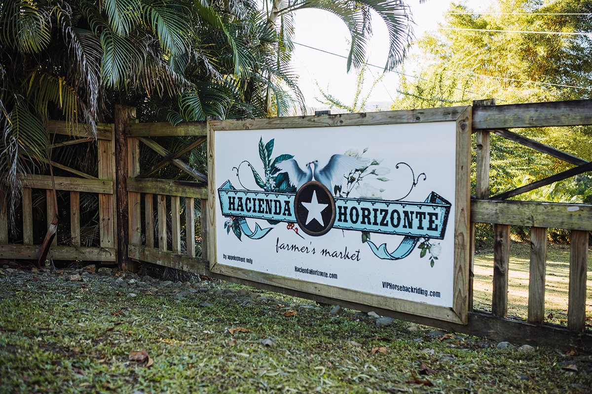 Front gate at Hacienda Horizonte in Utuado