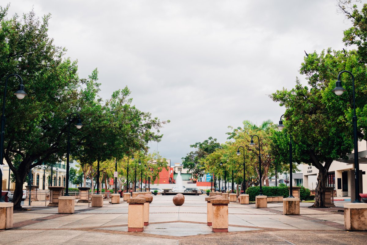 View of Paseo de las Artes in Caguas.