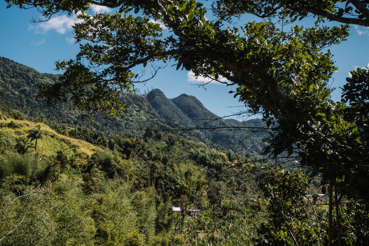 A scenic view of mountain peaks in Jayuya