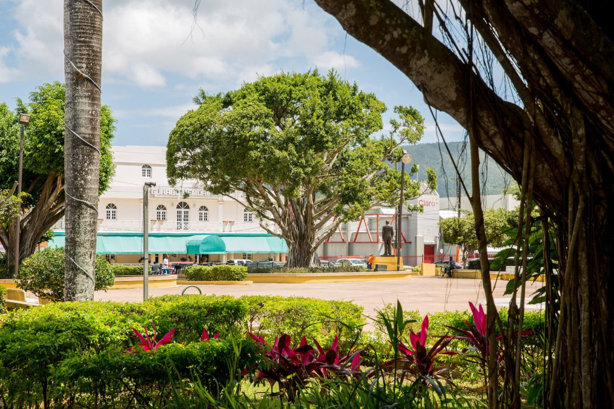 Beautifully landscaped town center of Gurabo