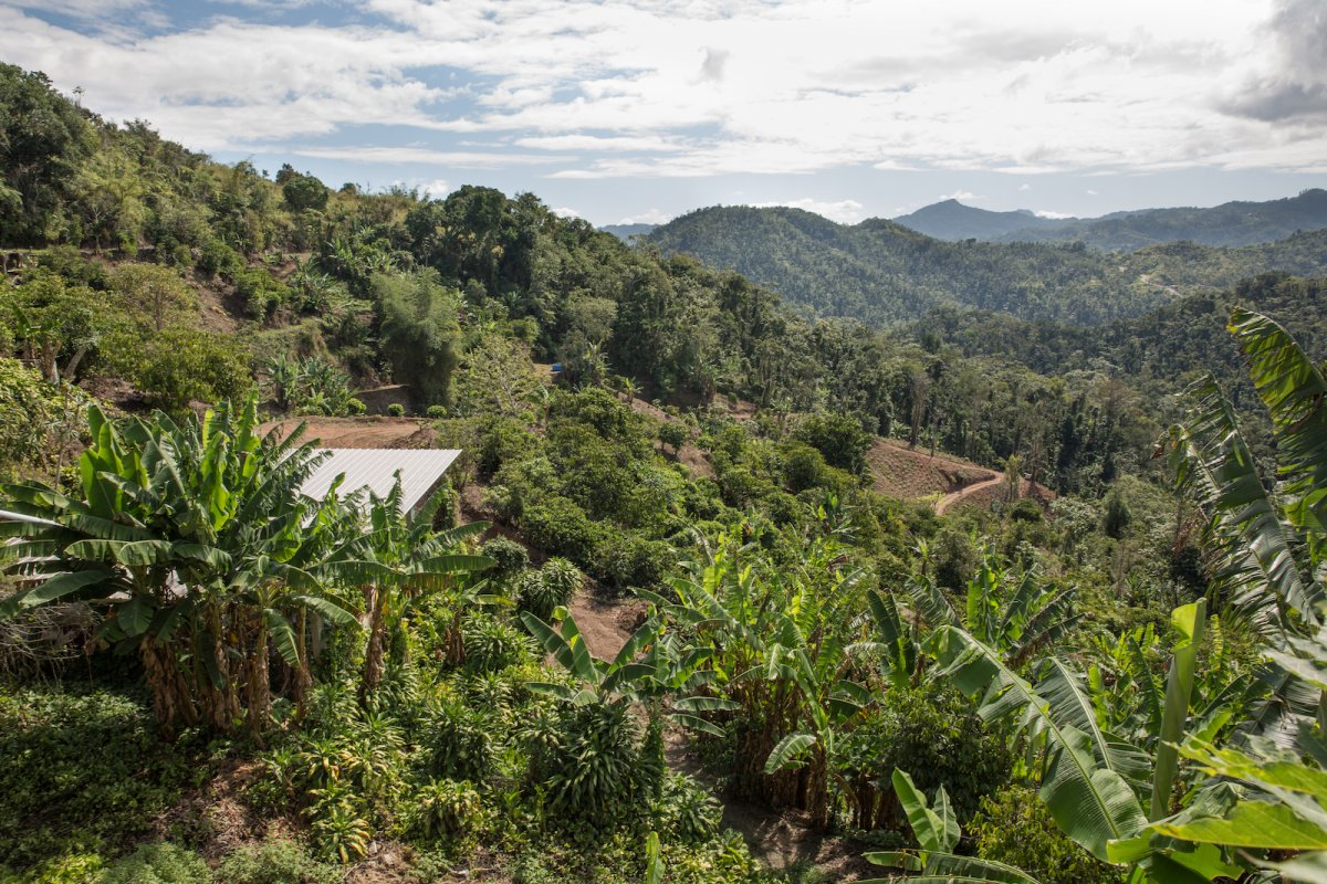 Mountain views in Las Marias.