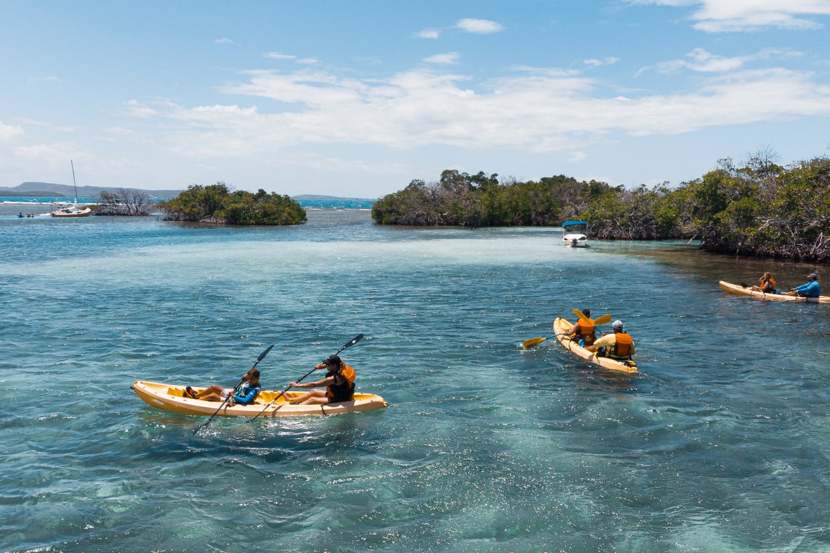 People Kayak in La Parguera