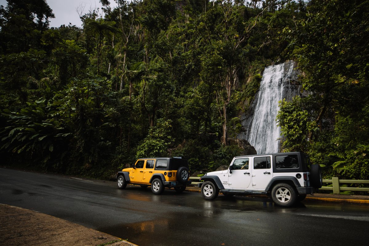 Jeep at El Yunque