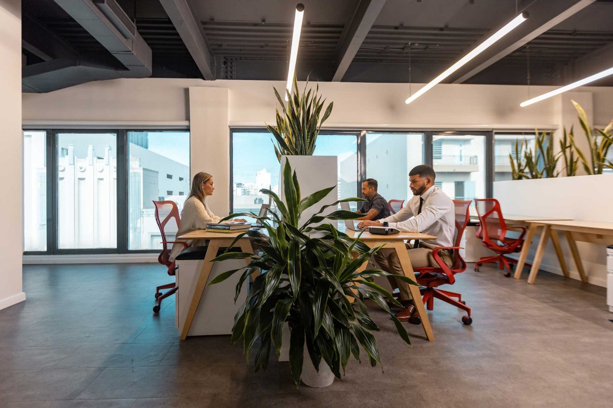 Three people work at a shared desk at a coworking space in San Juan, Puerto Rico, with a view of the city out of the windows.