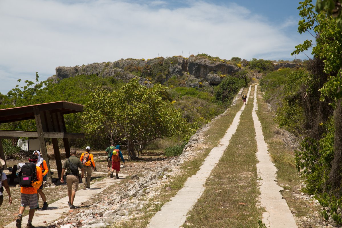 Group of people walking uphill.