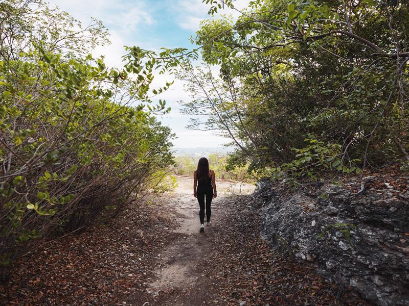 A woman walks one of the Guanica's Dry Forest trials. 