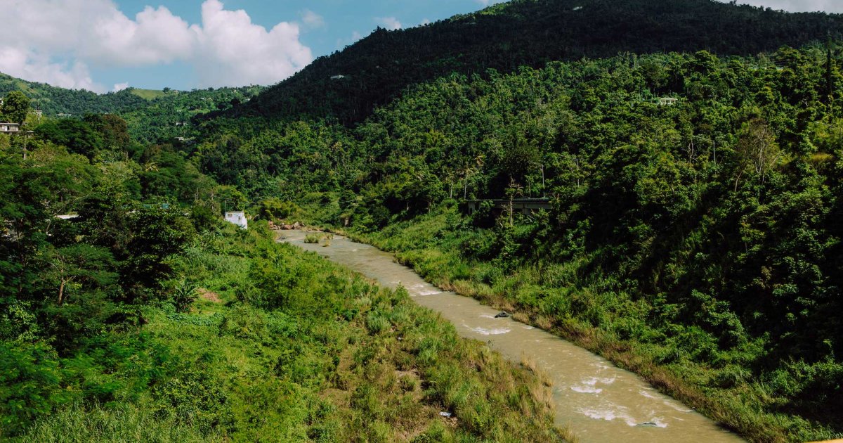 Comerío | Central Mountains | Discover Puerto Rico