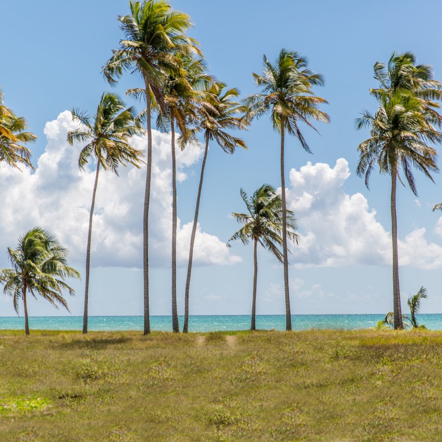 View of Humacao beach.