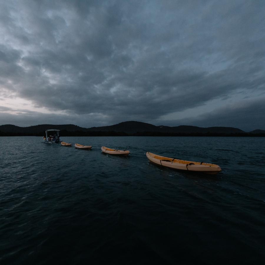 Kayaking at La Parguera