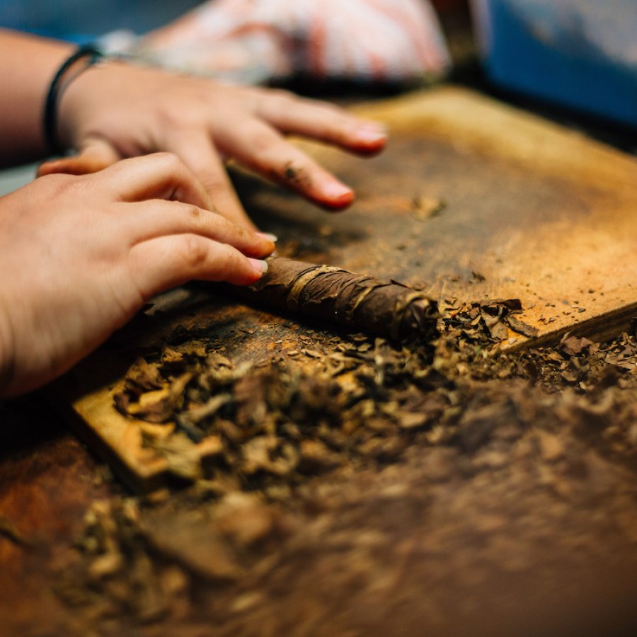 View of the hands of a woman making a tobacco cigar in Caguas.