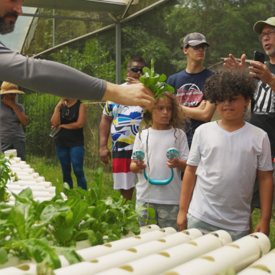 A multi-generational group of people tour a greenhouse at Frutos del Guacabo in Manatí, Puerto Rico.