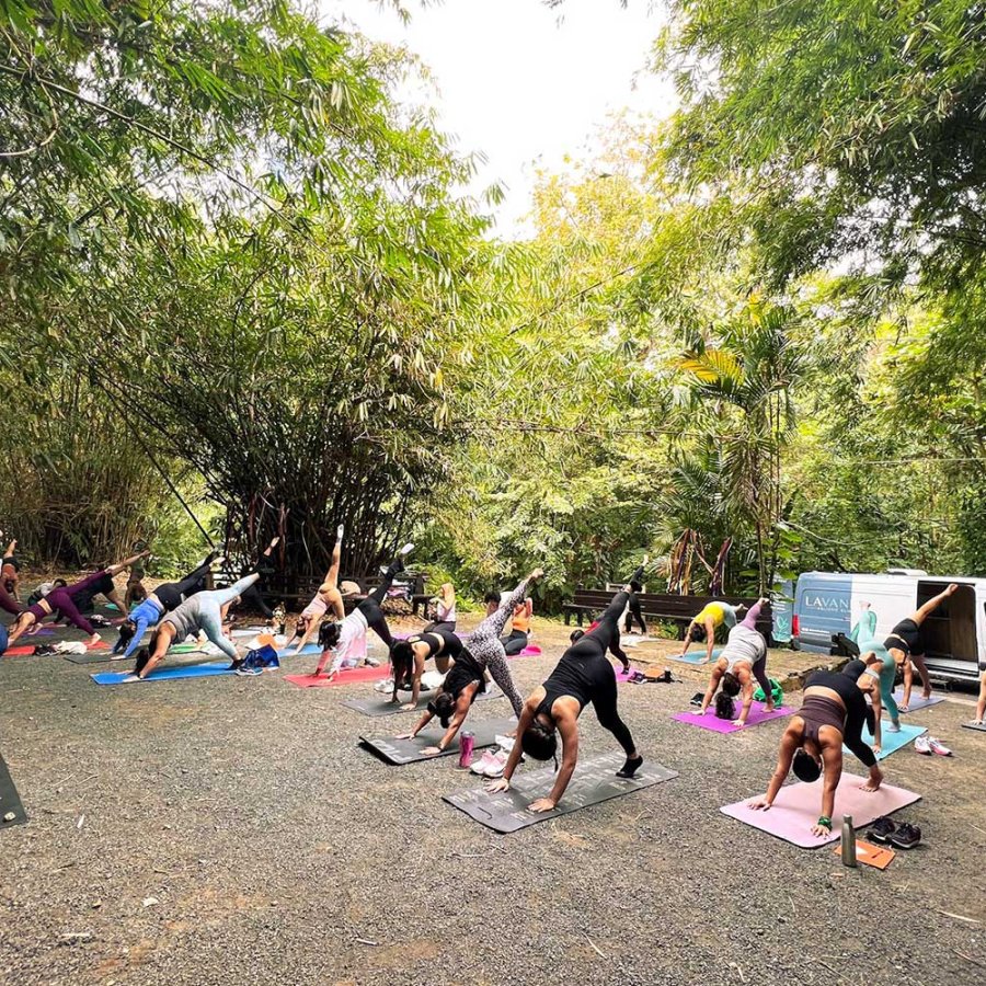 Un grupo de personas practica yoga en un exuberante entorno al aire libre con la furgoneta de Lavanda Holistic Clinic al fondo.