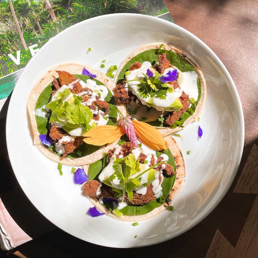 Overhead shot of a plate of colorful plant-based fare at Aovara, the on-site restaurant of Dreamcatcher hotel. San Juan, Puerto Rico.