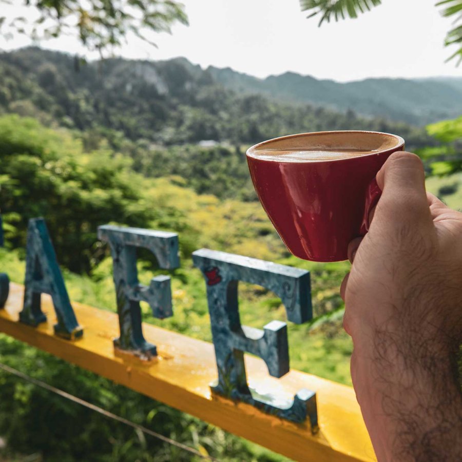 A hand holds a red mug filled with coffee in front of a mountain vista and sign that reads "Cafe."