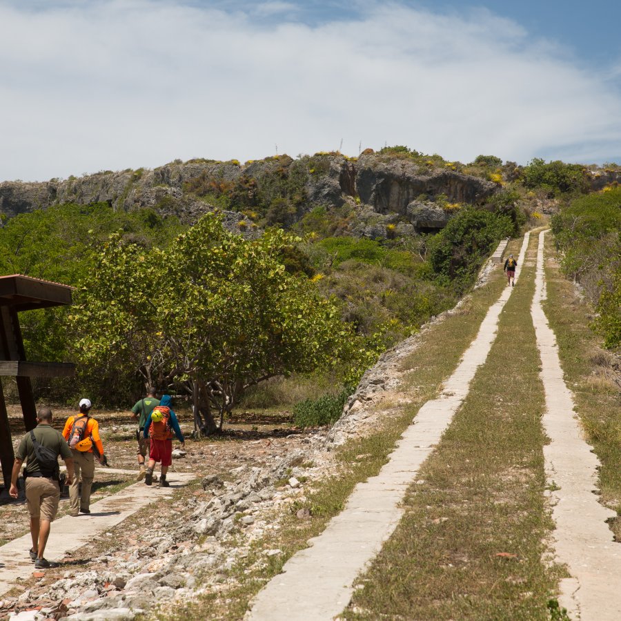 Group of people walking uphill.