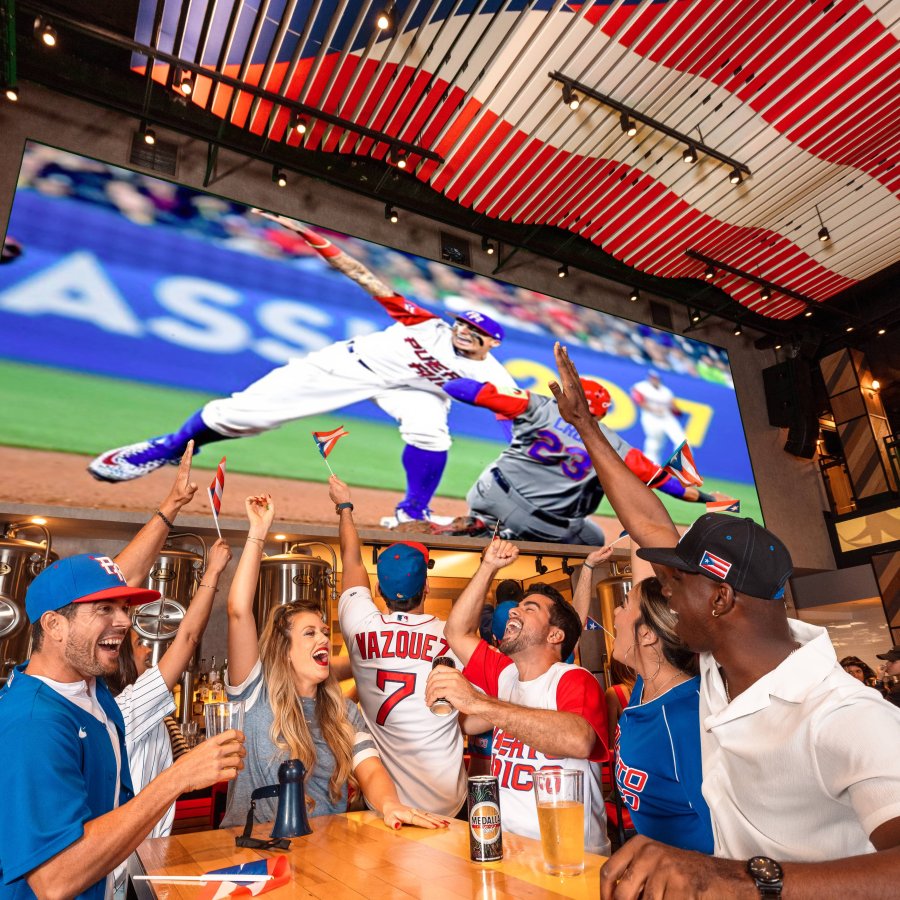 People cheering on a baseball game