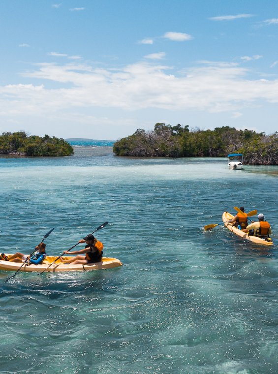 Kayaking in La Parguera