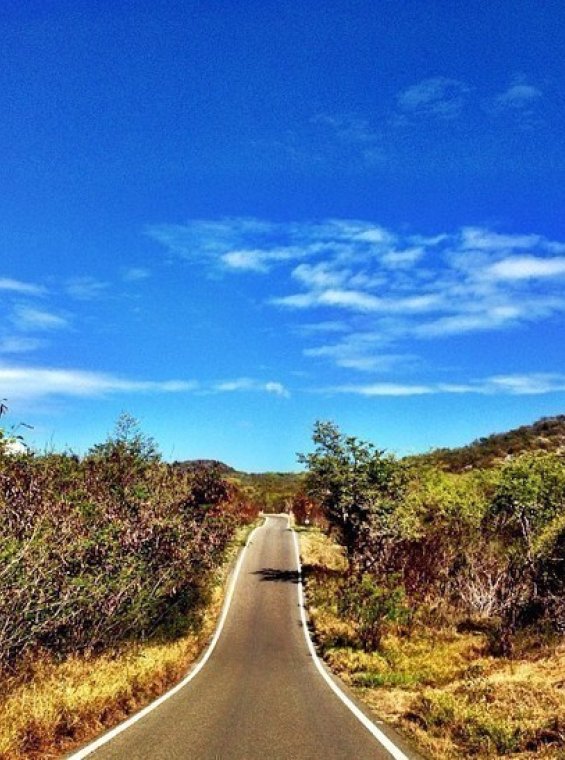 Guanica Dry Forest